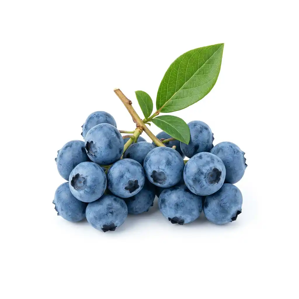 Blueberry
