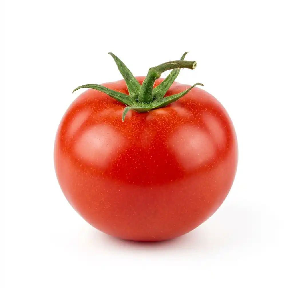 Tomato
