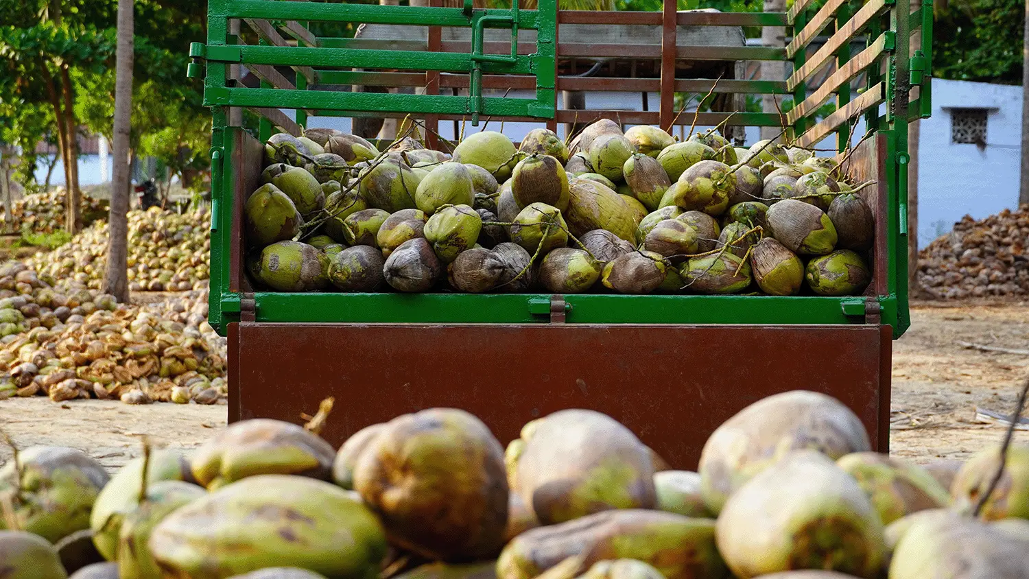 Organic Husk Harvesting