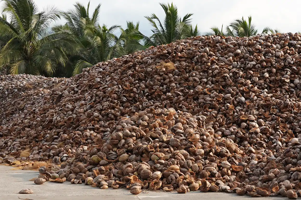Raw Material Selection