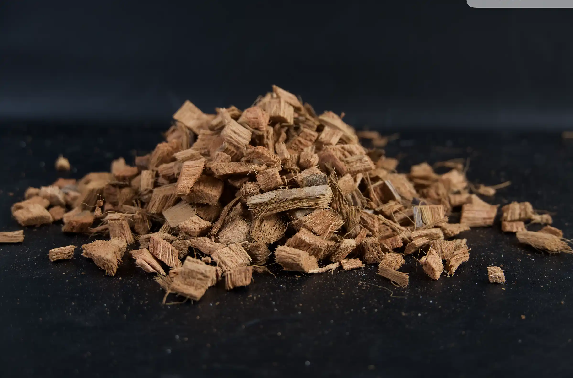 Premium Coco Chips