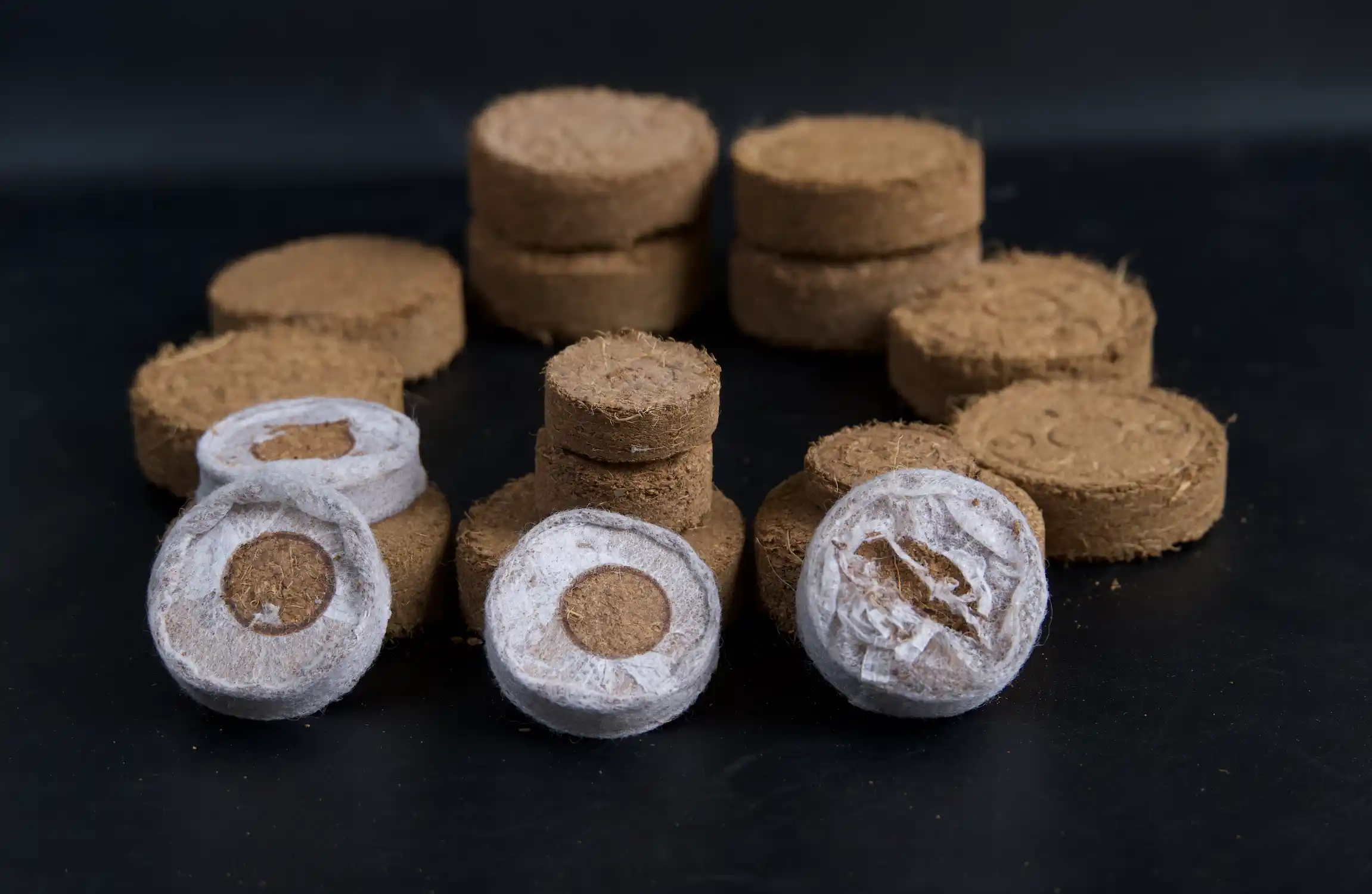 Rise Substrates Discs and Pellets