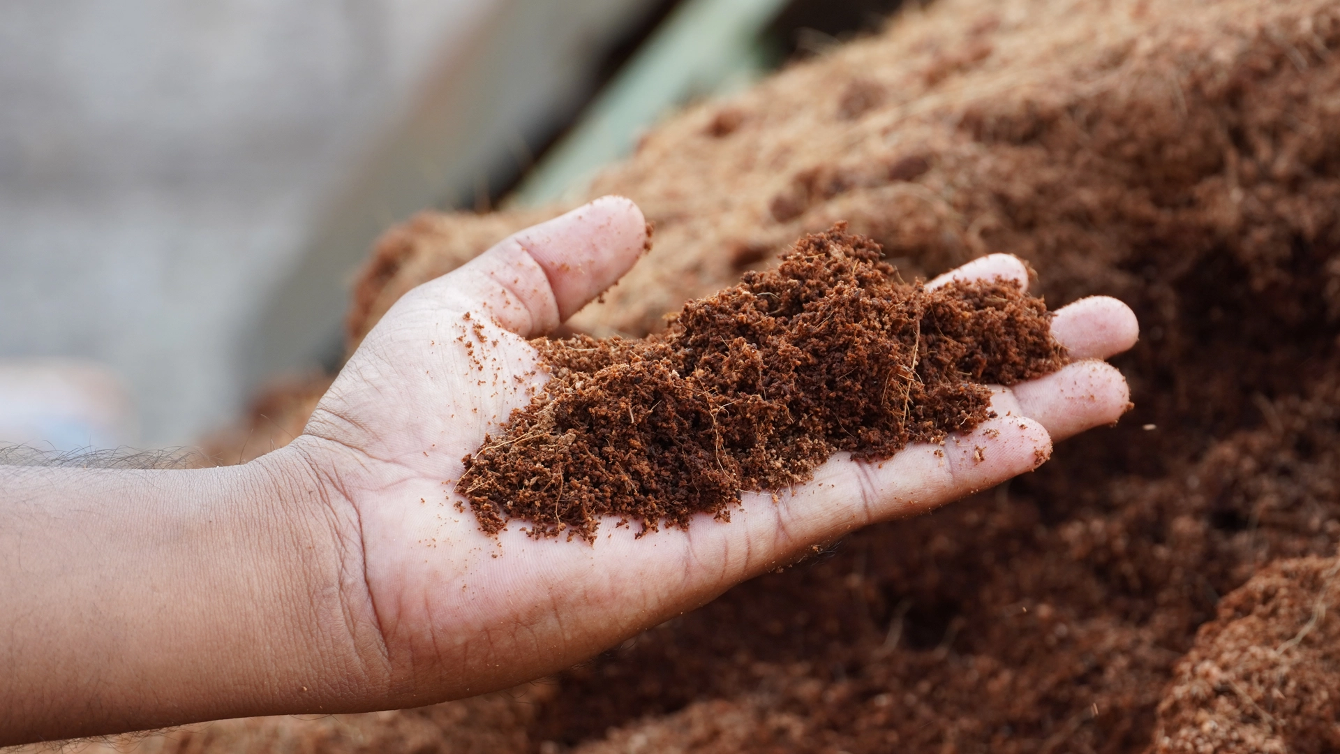 What is Coir? Complete Guide to Coco Coir