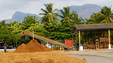 Why Coco Peat is One of the Most Sustainable Growing Media