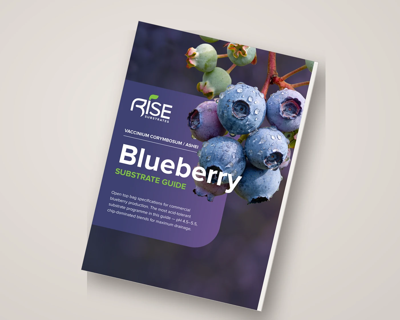 Guia de Substrato para Mirtilo Rise Substrates &mdash; capa