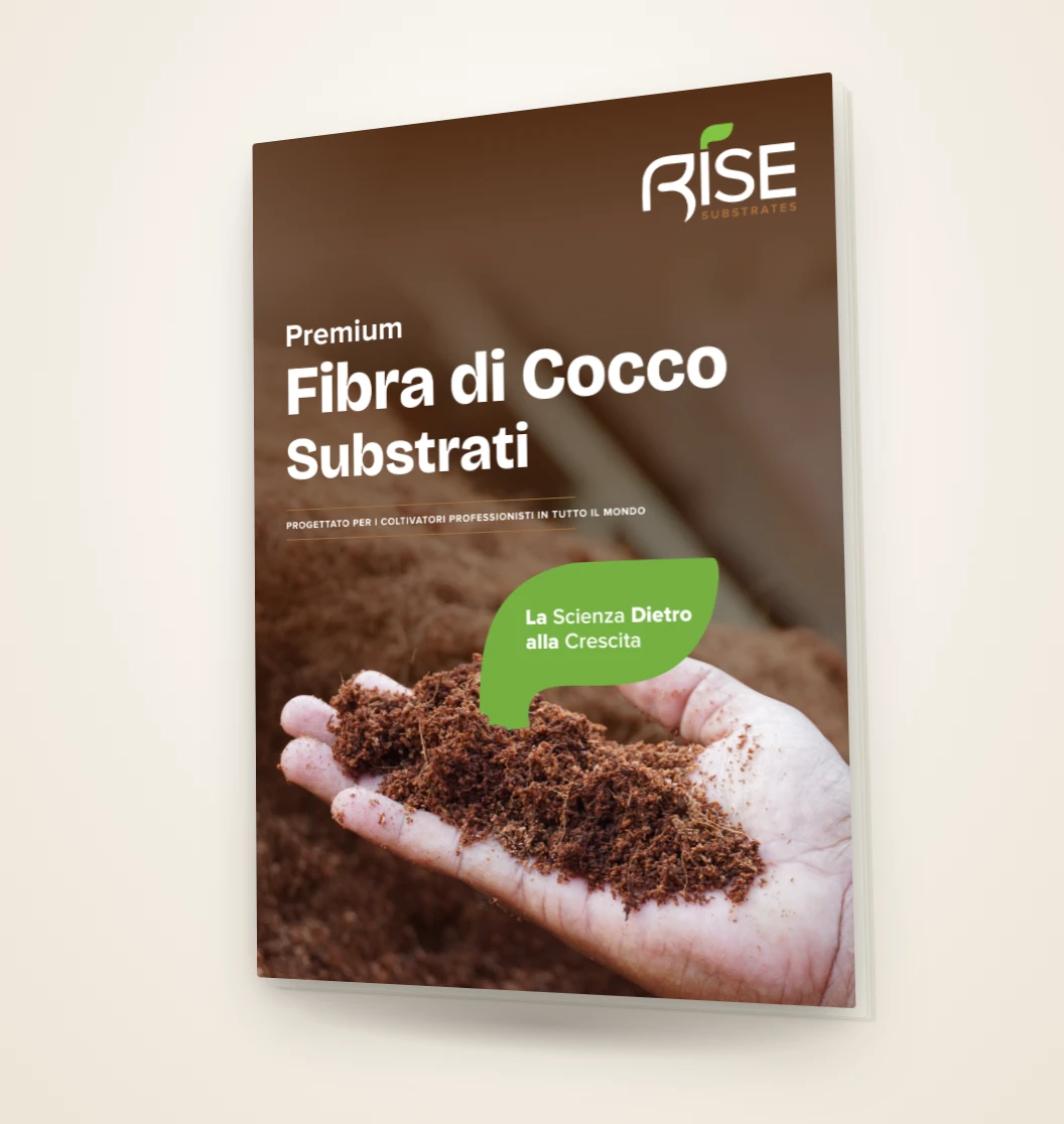 Catalogo Prodotti Rise Substrates