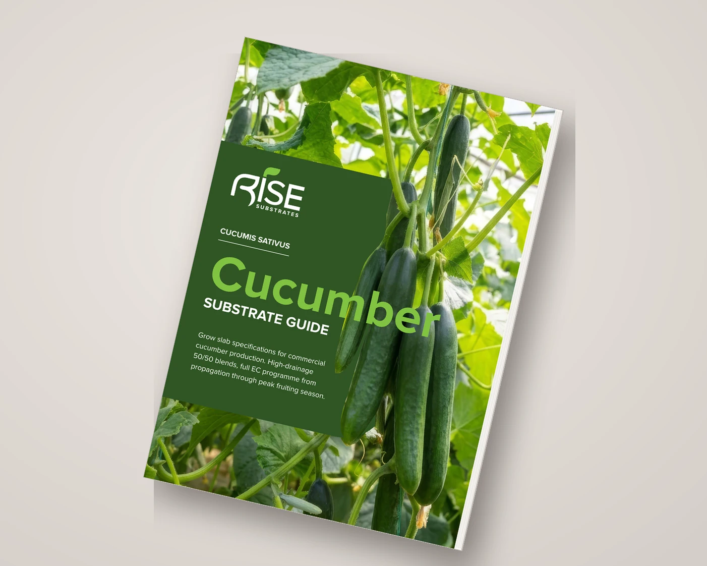 Guia de Substrato para Pepino Rise Substrates &mdash; capa